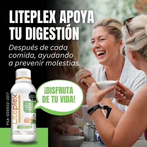 LITEPLEX GASTRITIS