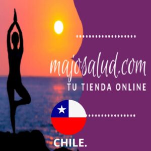 TIENDA ONLINE CHILE