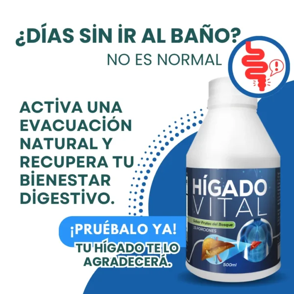 Hígado Vital: Suplemento Natural para Desintoxicar y Proteger tu Hígado