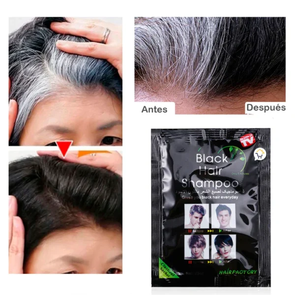 CUBRE CANAS INSTANTANEO BLACK HAIR