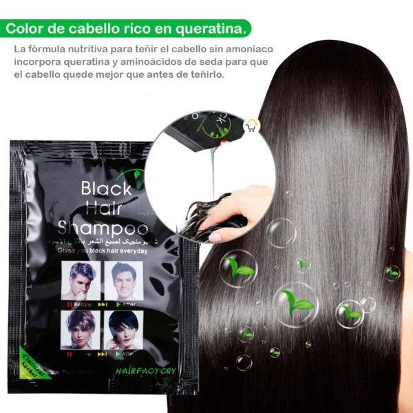 CUBRE CANAS INSTANTANEO BLACK HAIR