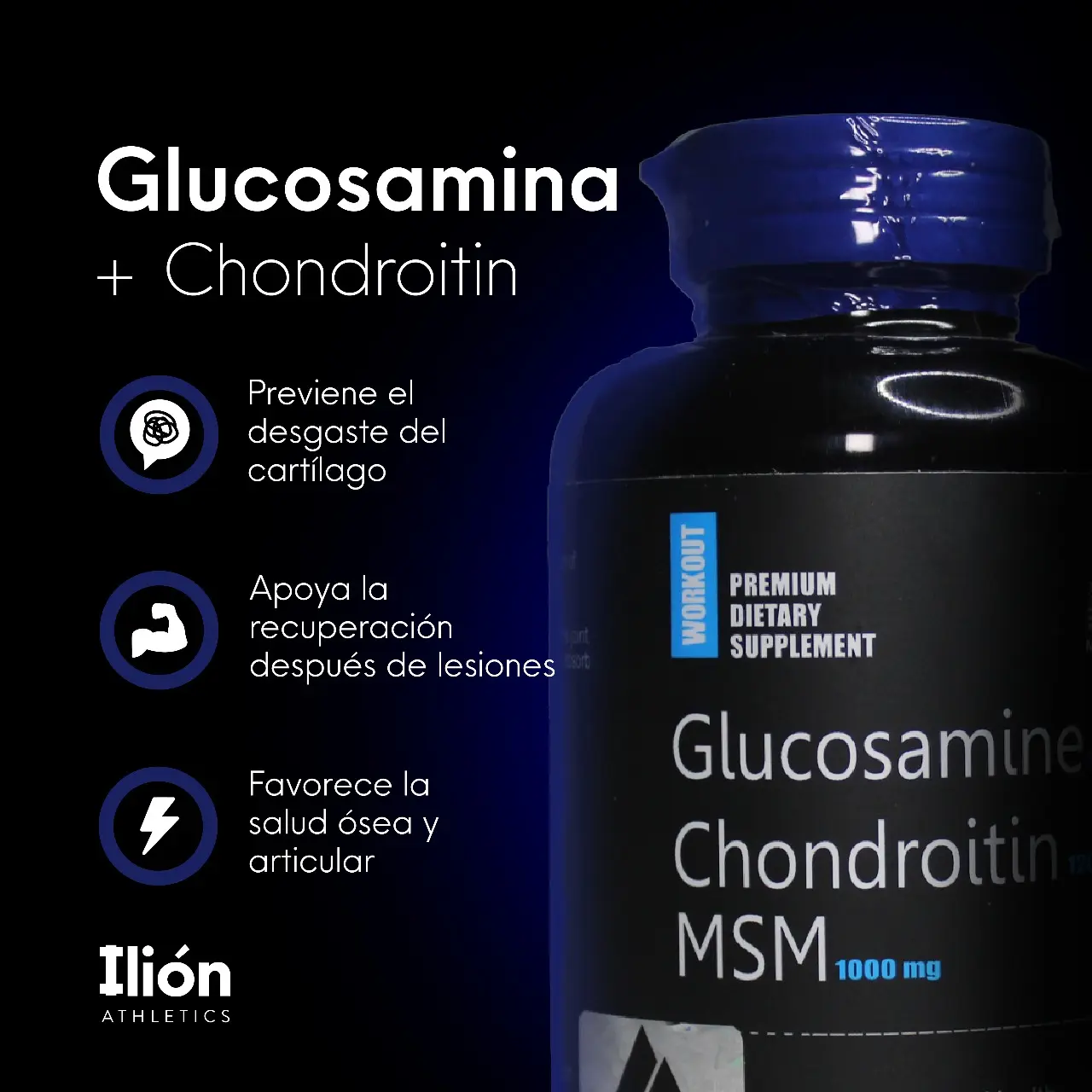Glucosamina, Condroitina & MSM