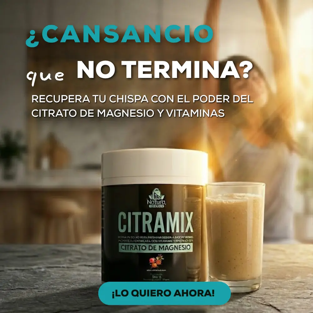 CITRAMIX PRECIO
